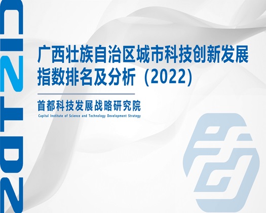 操逼黄片大鸡巴【成果发布】广西壮族自治区城市科技创新发展指数排名及分析（2022）